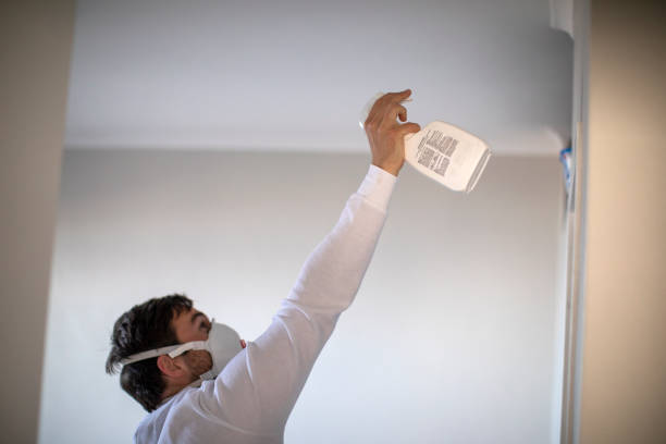 Best Same-Day Mold Removal  in Loch Lomond, VA