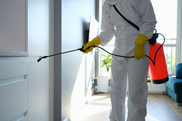 Mold Testing and Removal in Loch Lomond, VA