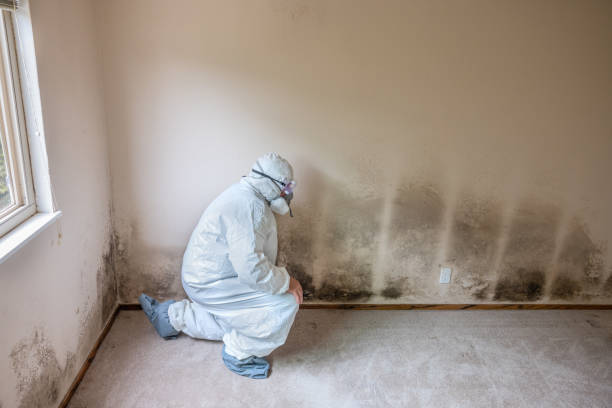 Best Mold Testing  in Loch Lomond, VA
