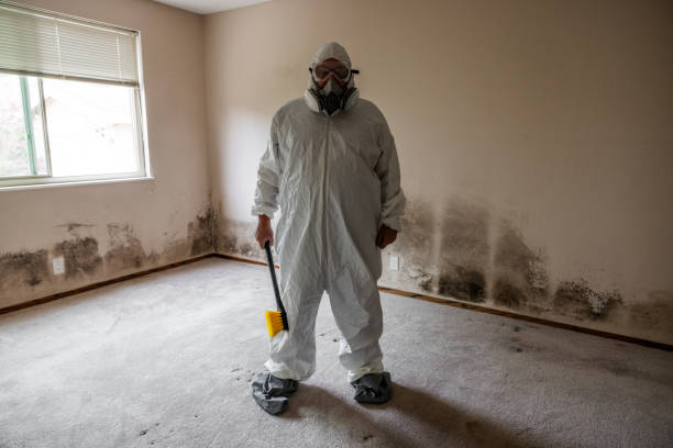 Best Mold Cleaning Services  in Loch Lomond, VA